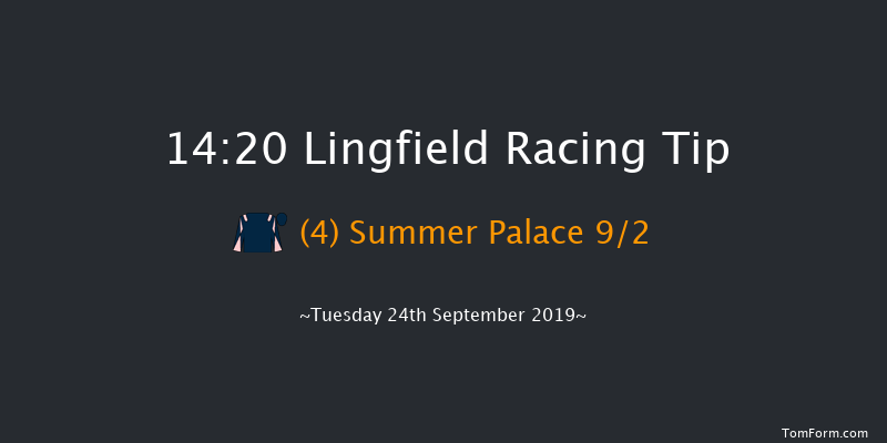 Lingfield 14:20 Maiden (Class 5) 8f Sat 14th Sep 2019