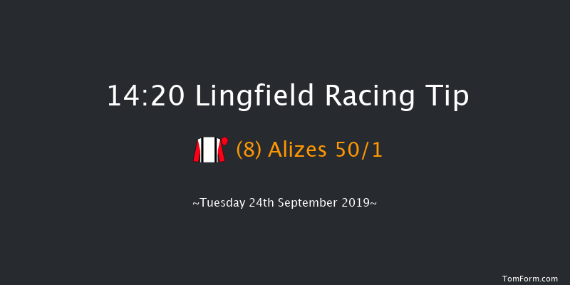 Lingfield 14:20 Maiden (Class 5) 8f Sat 14th Sep 2019