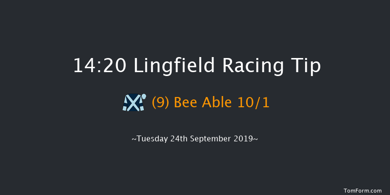 Lingfield 14:20 Maiden (Class 5) 8f Sat 14th Sep 2019