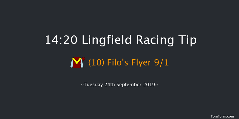 Lingfield 14:20 Maiden (Class 5) 8f Sat 14th Sep 2019