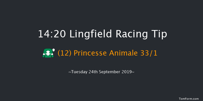 Lingfield 14:20 Maiden (Class 5) 8f Sat 14th Sep 2019