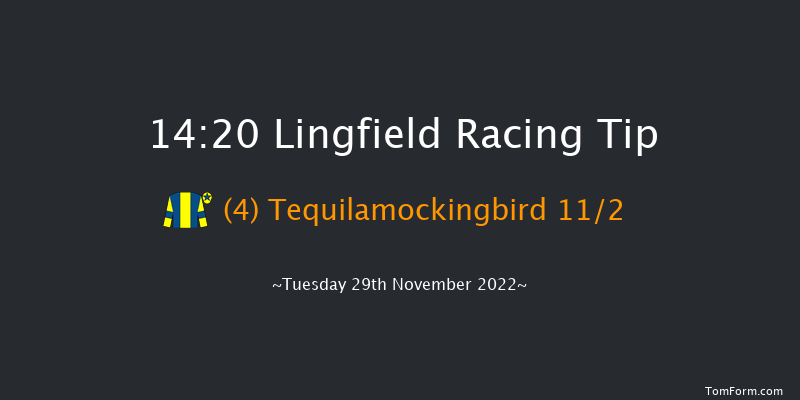 Lingfield 14:20 Handicap (Class 4) 10f Thu 24th Nov 2022