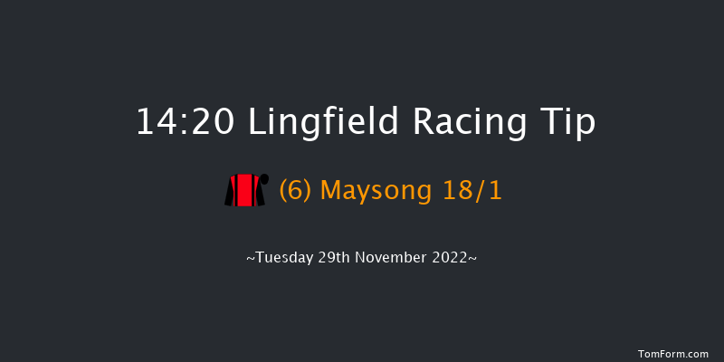 Lingfield 14:20 Handicap (Class 4) 10f Thu 24th Nov 2022