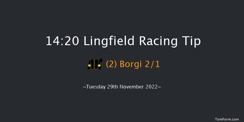 Lingfield 14:20 Handicap (Class 4) 10f Thu 24th Nov 2022