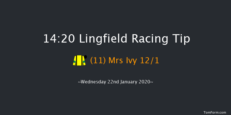 Lingfield 14:20 Handicap (Class 6) 16f Sat 18th Jan 2020