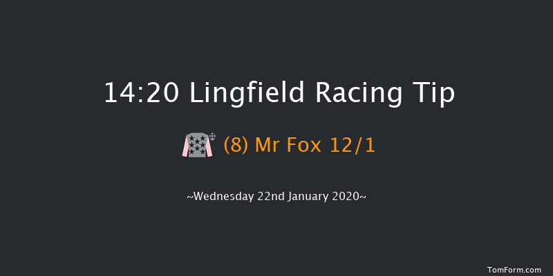 Lingfield 14:20 Handicap (Class 6) 16f Sat 18th Jan 2020