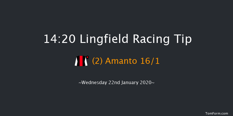 Lingfield 14:20 Handicap (Class 6) 16f Sat 18th Jan 2020
