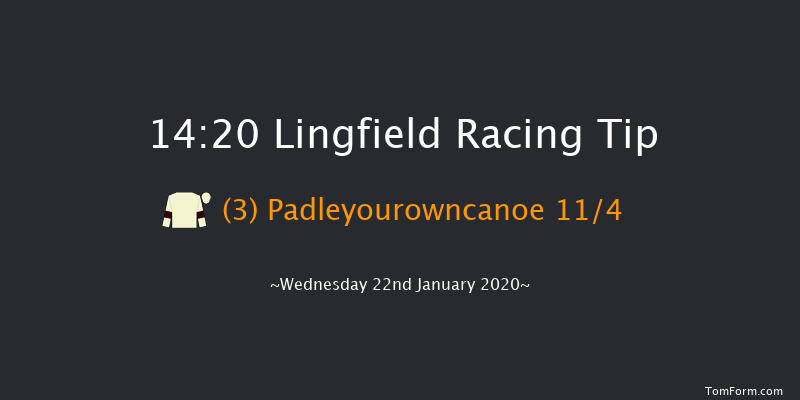 Lingfield 14:20 Handicap (Class 6) 16f Sat 18th Jan 2020