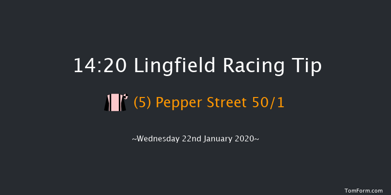 Lingfield 14:20 Handicap (Class 6) 16f Sat 18th Jan 2020
