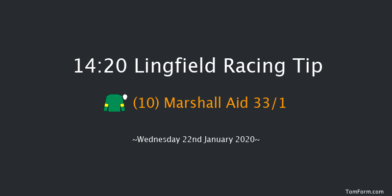 Lingfield 14:20 Handicap (Class 6) 16f Sat 18th Jan 2020
