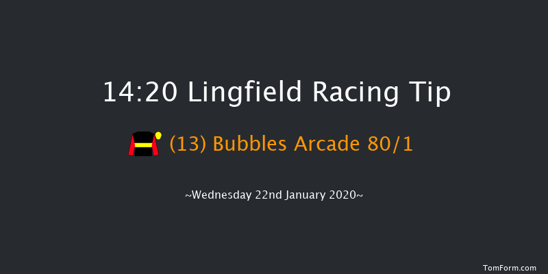 Lingfield 14:20 Handicap (Class 6) 16f Sat 18th Jan 2020
