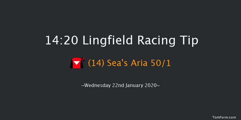 Lingfield 14:20 Handicap (Class 6) 16f Sat 18th Jan 2020