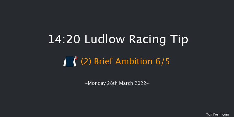 Ludlow 14:20 Handicap Chase (Class 3) 20f Wed 23rd Mar 2022