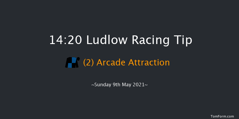 South Shropshire Roofing Handicap Hurdle (Div 2) Ludlow 14:20 Handicap Hurdle (Class 5) 21f Wed 21st Apr 2021