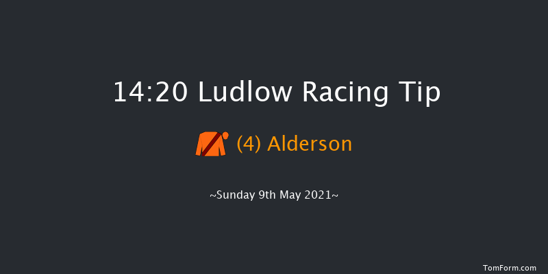 South Shropshire Roofing Handicap Hurdle (Div 2) Ludlow 14:20 Handicap Hurdle (Class 5) 21f Wed 21st Apr 2021