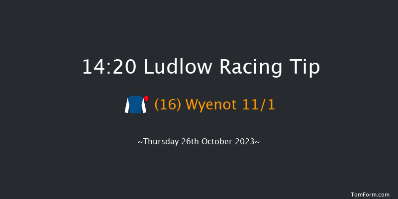 Ludlow 14:20 Maiden Hurdle (Class 4) 16f Wed 11th Oct 2023