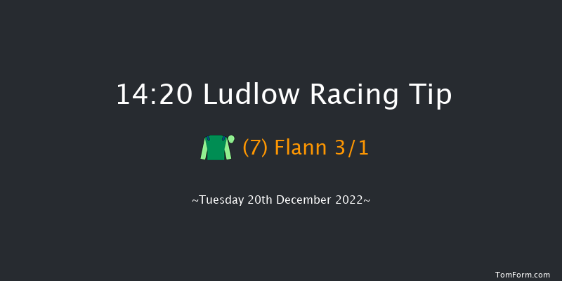 Ludlow 14:20 Handicap Chase (Class 4) 20f Wed 30th Nov 2022