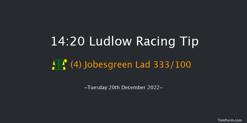 Ludlow 14:20 Handicap Chase (Class 4) 20f Wed 30th Nov 2022
