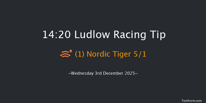 Ludlow 14-20 (Class 4) 15f Mon 24th Nov 2025