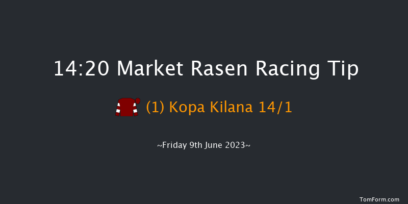 Market Rasen 14:20 Handicap Hurdle (Class 5) 21f Thu 1st Jun 2023