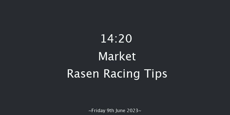 Market Rasen 14:20 Handicap Hurdle (Class 5) 21f Thu 1st Jun 2023