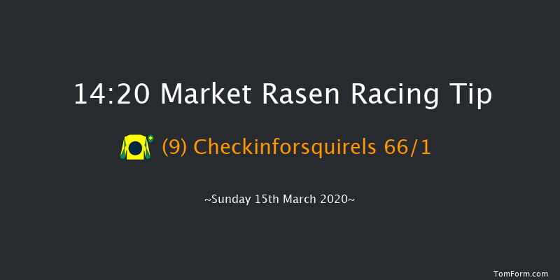 In Memory Of Ron Lane 'national Hunt' Novices' Hurdle Market Rasen 14:20 Novices Hurdle (Class 4) 17f Wed 26th Feb 2020