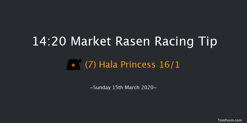 In Memory Of Ron Lane 'national Hunt' Novices' Hurdle Market Rasen 14:20 Novices Hurdle (Class 4) 17f Wed 26th Feb 2020