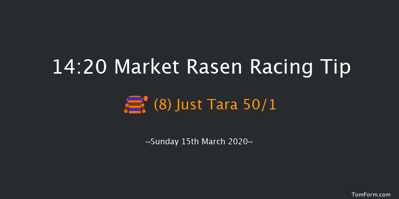 In Memory Of Ron Lane 'national Hunt' Novices' Hurdle Market Rasen 14:20 Novices Hurdle (Class 4) 17f Wed 26th Feb 2020