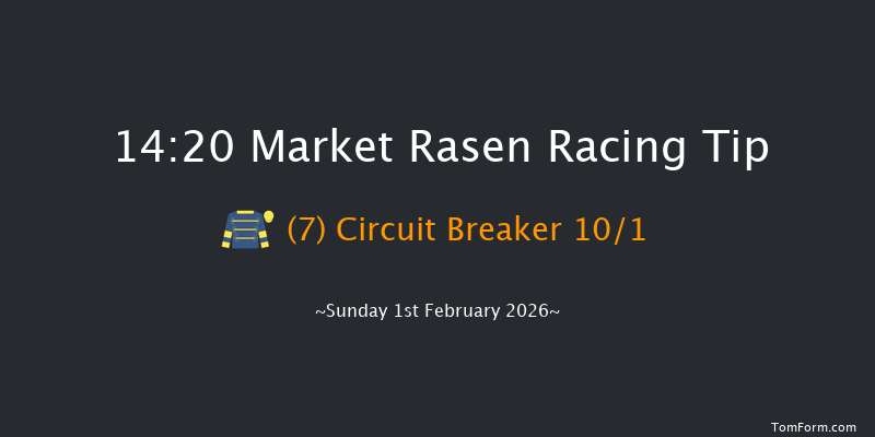 Market Rasen 14-20 (Class 4) 23f Fri 16th Jan 2026