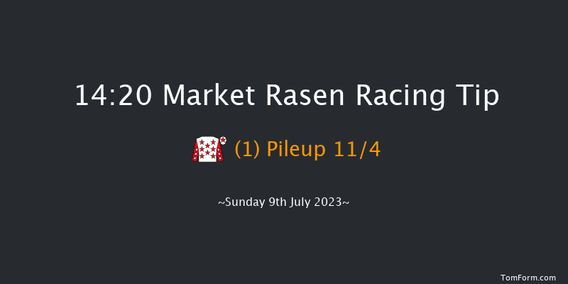 Market Rasen 14:20 Handicap Hurdle (Class 5) 21f Fri 23rd Jun 2023