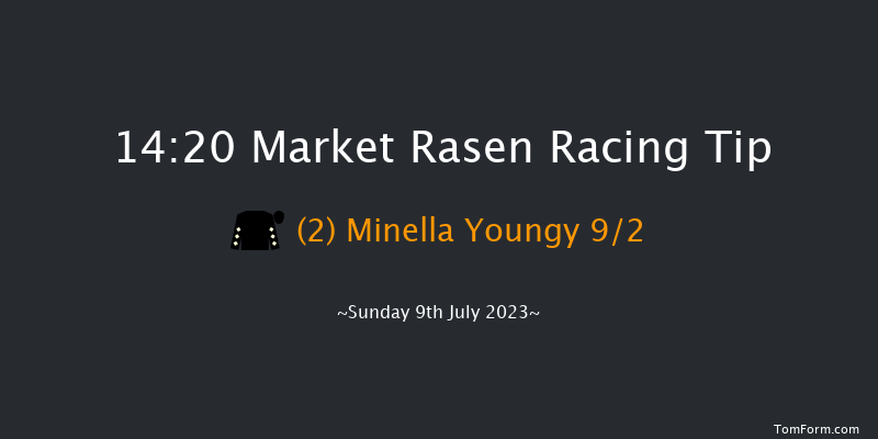 Market Rasen 14:20 Handicap Hurdle (Class 5) 21f Fri 23rd Jun 2023
