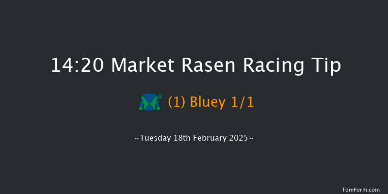 Market Rasen  14:20 Maiden Hurdle (Class 3)
17f Tue 4th Feb 2025