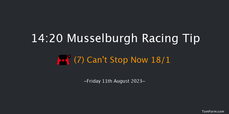 Musselburgh 14:20 Handicap (Class 5) 12f Fri 4th Aug 2023