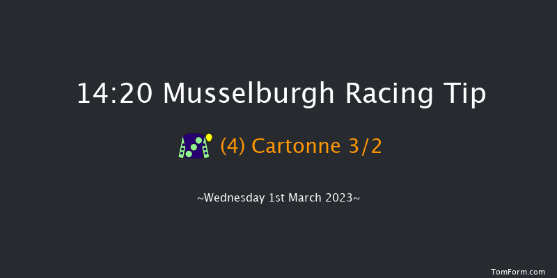 Musselburgh 14:20 Handicap Chase (Class 4) 20f Sun 19th Feb 2023
