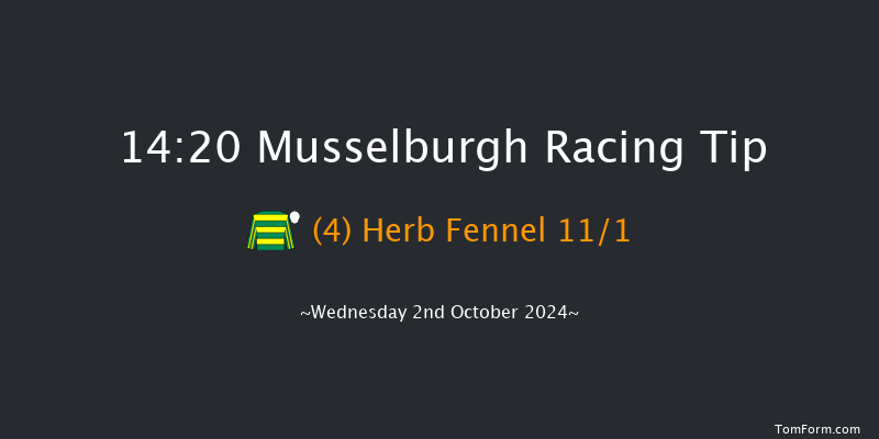 Musselburgh  14:20 Handicap (Class 5) 7f Sun 15th Sep 2024