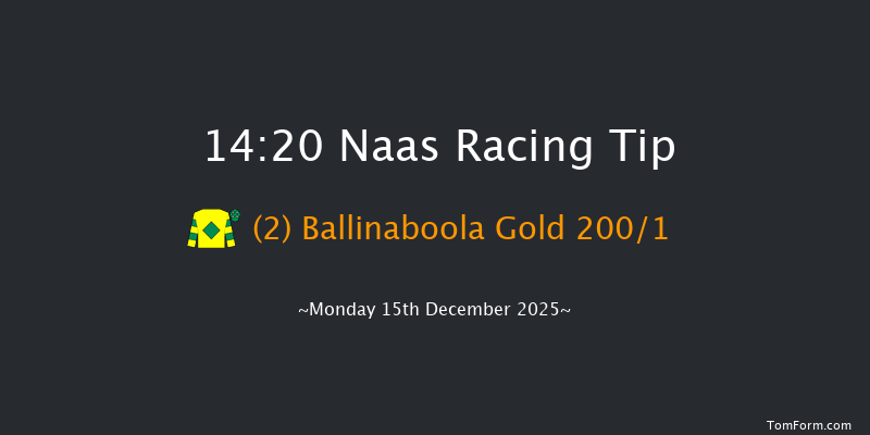 Naas 14-20 16f Sun 9th Nov 2025