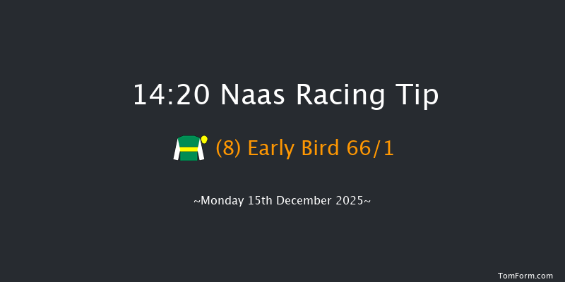 Naas 14-20 16f Sun 9th Nov 2025