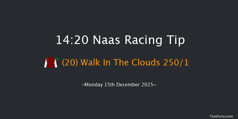 Naas 14-20 16f Sun 9th Nov 2025