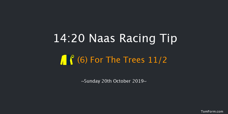 Naas 14:20 Handicap 6f Wed 18th Sep 2019