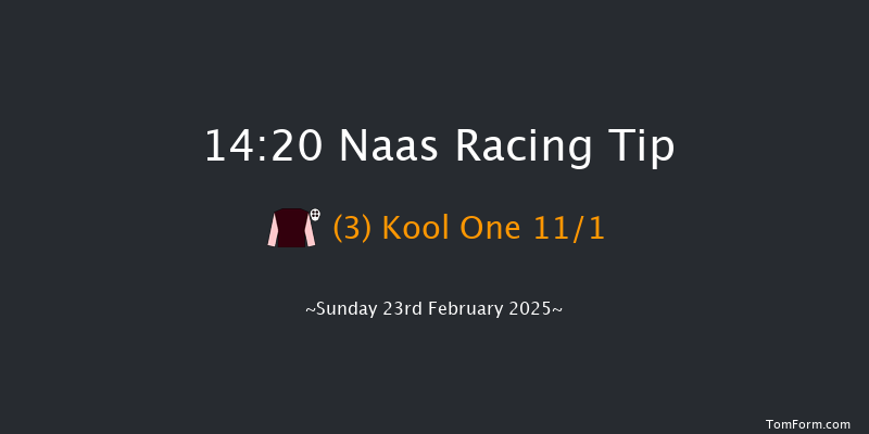 Naas  14:20 Conditions Hurdle 16f Sat 8th Feb 2025
