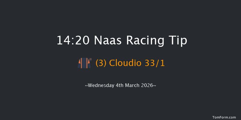 Naas 14-20 16f Sun 22nd Feb 2026