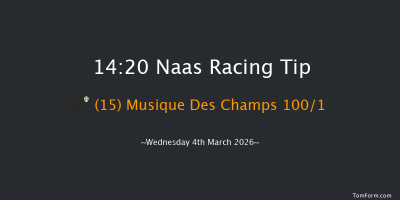 Naas 14-20 16f Sun 22nd Feb 2026