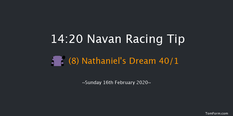 Get Your 2020 Navan Membership Maiden Hurdle (Div 2) Navan 14:20 Maiden Hurdle 16f Sat 18th Jan 2020