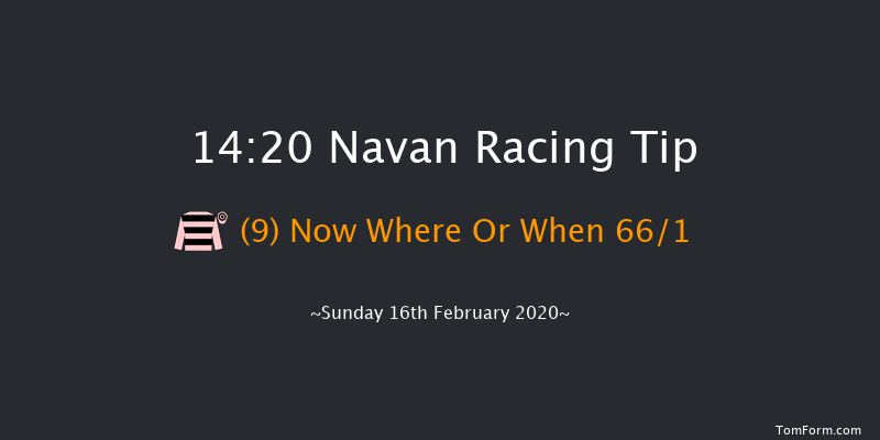 Get Your 2020 Navan Membership Maiden Hurdle (Div 2) Navan 14:20 Maiden Hurdle 16f Sat 18th Jan 2020