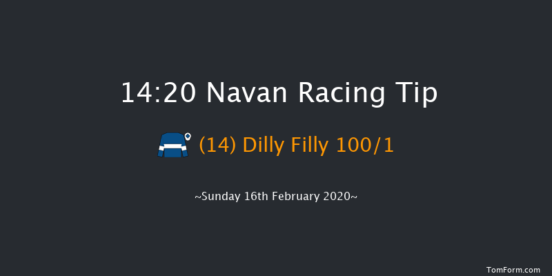 Get Your 2020 Navan Membership Maiden Hurdle (Div 2) Navan 14:20 Maiden Hurdle 16f Sat 18th Jan 2020