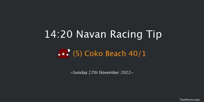 Navan 14:20 Handicap Chase 24f Sun 13th Nov 2022