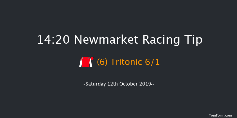 Newmarket 14:20 Group 3 (Class 1) 10f Fri 11th Oct 2019