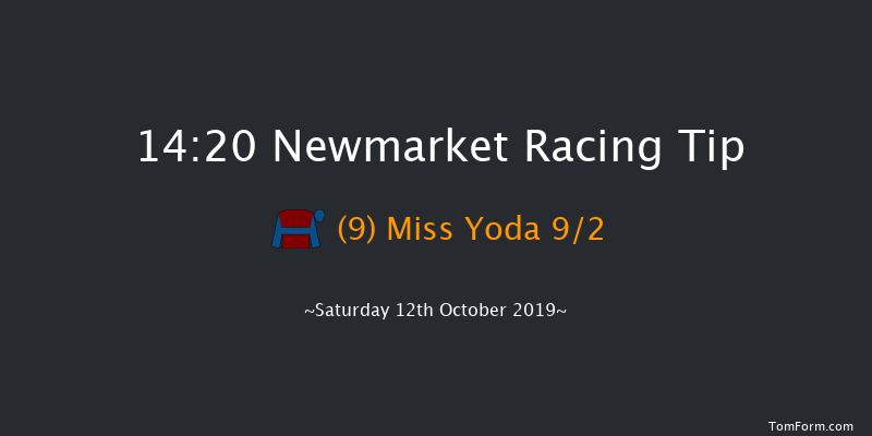 Newmarket 14:20 Group 3 (Class 1) 10f Fri 11th Oct 2019