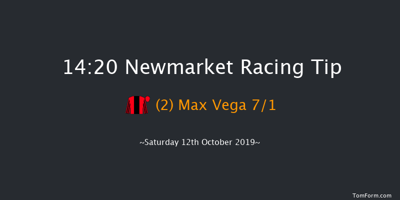 Newmarket 14:20 Group 3 (Class 1) 10f Fri 11th Oct 2019