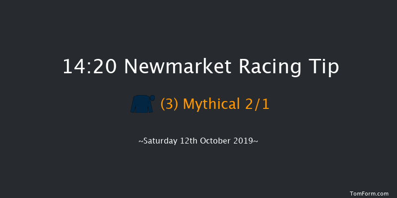 Newmarket 14:20 Group 3 (Class 1) 10f Fri 11th Oct 2019